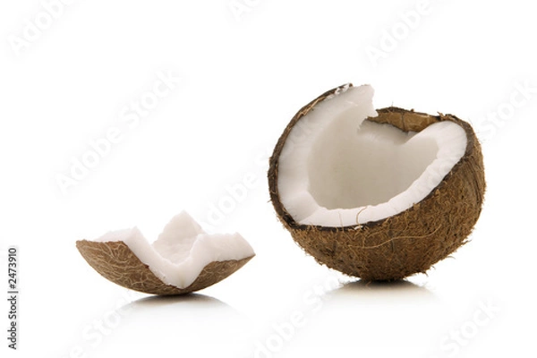 Obraz coconut