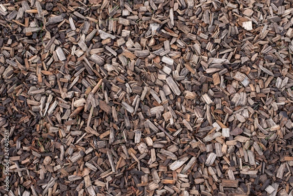 Obraz wooden bark chips background texture
