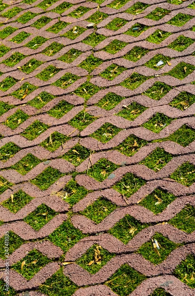 Obraz perforated sidewalks with grass (wide)