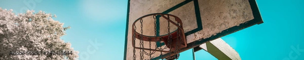 Obraz basket