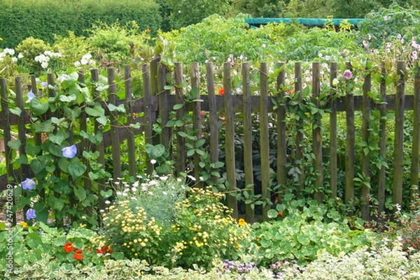 Obraz Bauerngarten