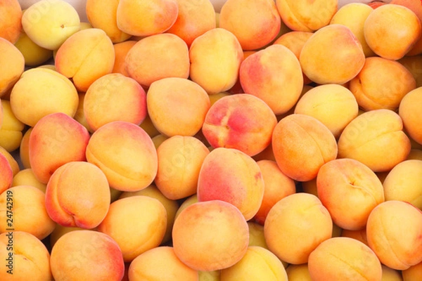 Fototapeta Apricot background