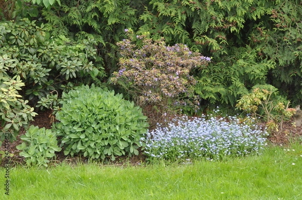 Obraz garden