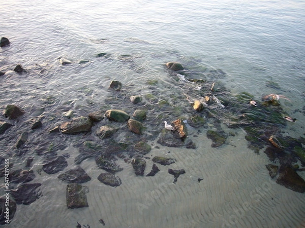 Obraz meer