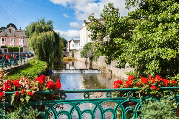 Obraz Dawlish Devon England UK