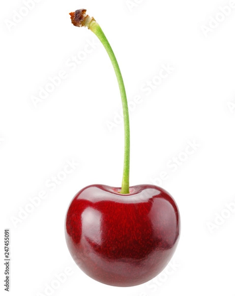 Fototapeta Cherry isolated on white with clipping path