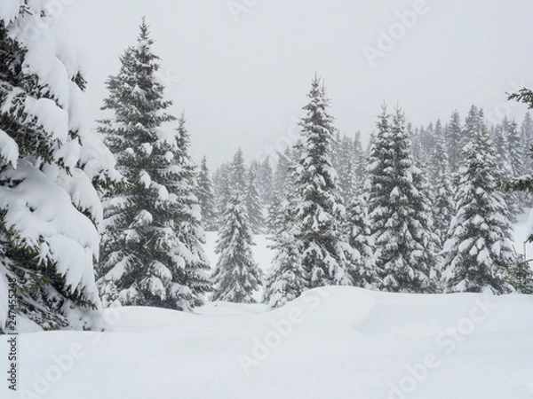 Obraz Trekkin in Passo Coe, Trentino Alto Adige