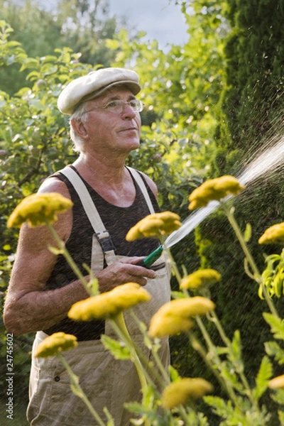 Obraz Wasser Marsch III