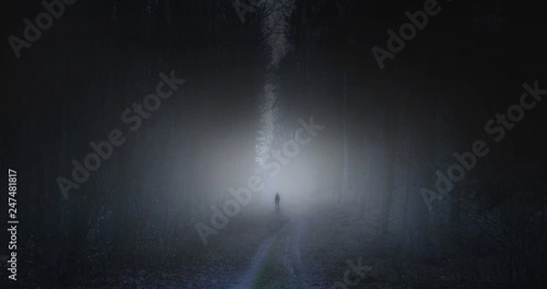 Fototapeta Surreal horror scene with alone strange man in dark night forest