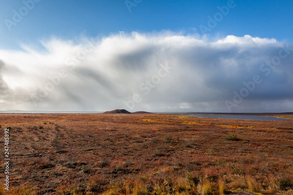 Fototapeta Tundra scene from Canadian Arctic in the fall