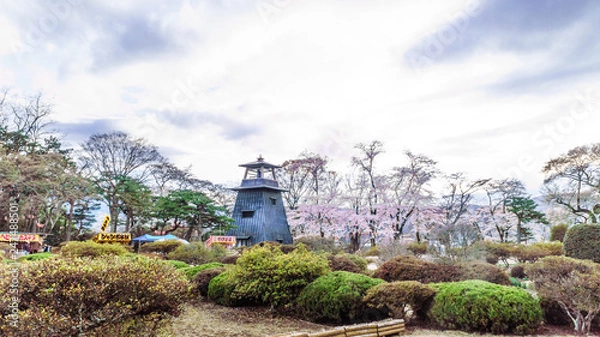 Obraz  	春の沼田城址の風景