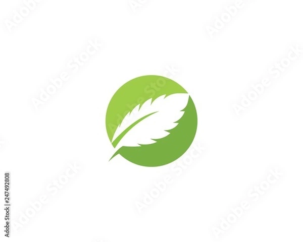 Obraz green leaf logo vector