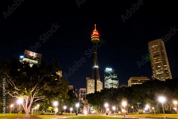 Fototapeta Sydney Night