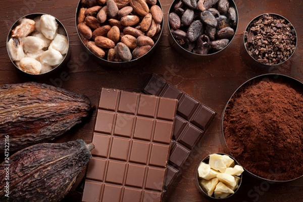 Obraz Cocoa beans, pods, cocoa powder and chocolate bar pieces