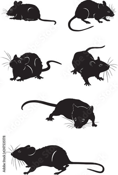 Fototapeta Mice, various poses, movements and foreshortenings of figures, black