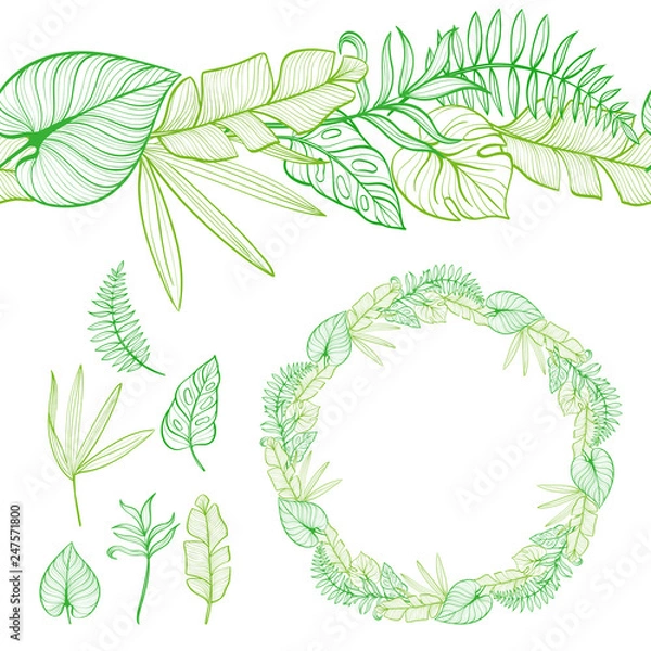 Fototapeta Set of seamless border and round frame. Hand-drawn tropical leaves. Template. Vector illustration