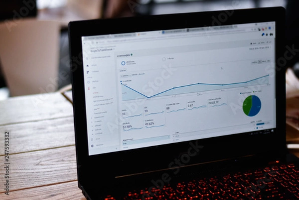 Fototapeta Website Analytics Dashboard, Webmaster was checking traffic visitor report on website