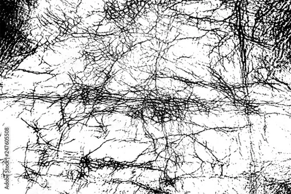 Obraz Leather Overlay Texture