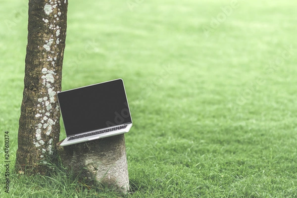 Fototapeta Mockup of modern laptop with black screen in the green tropical park of Bali island.