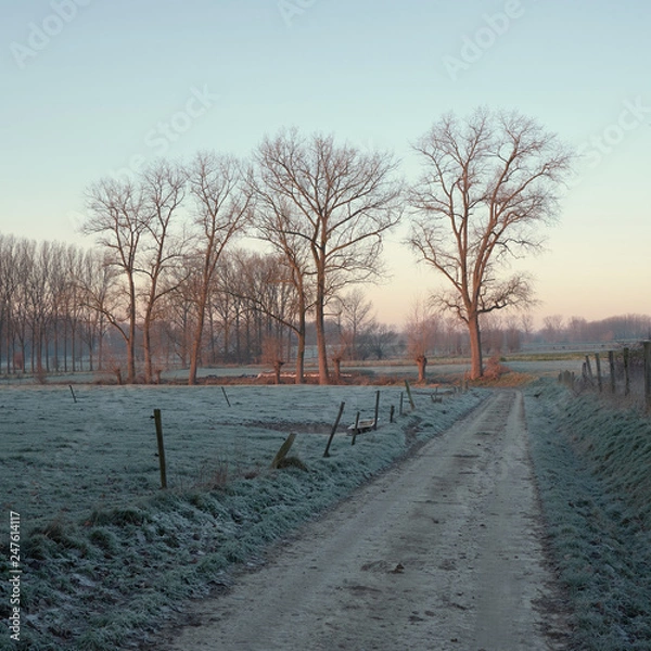 Obraz Snowy landscape