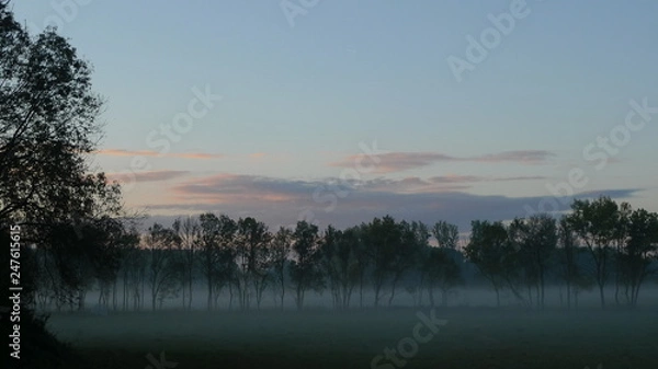 Obraz En pays elfique