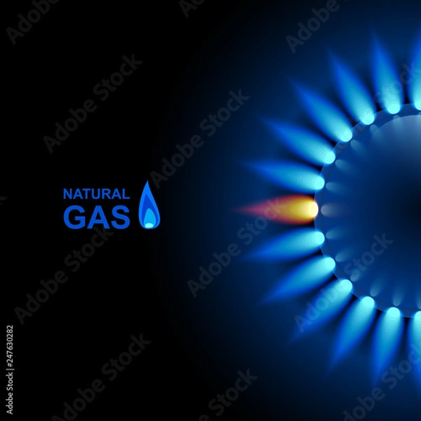 Obraz Gas flame with blue reflection on dark backdrop. Vector background. EPS 10
