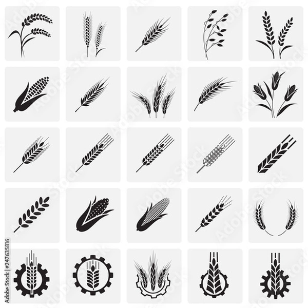 Obraz Cereal icons set on squares background for graphic and web design, Modern simple vector sign. Internet concept. Trendy symbol for website design web button or mobile app
