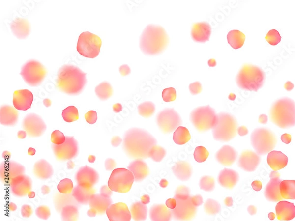 Fototapeta Rose gold petals flying cosmetics vector background.