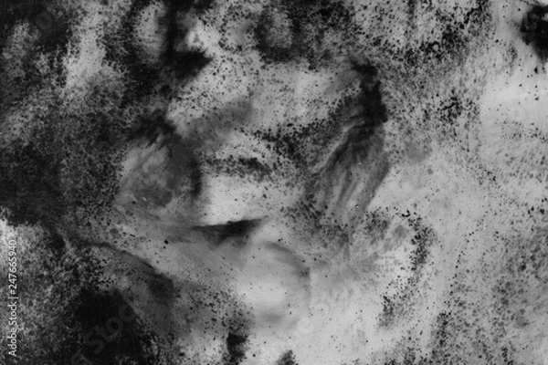 Obraz Abstract ink background. Marble style. Black paint stroke texture on white paper. Wallpaper for web and game design. Grunge mud art. Macro image of pen juice. Dark Smear.