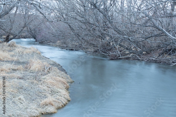 Obraz blue river winter scene with trees and snow