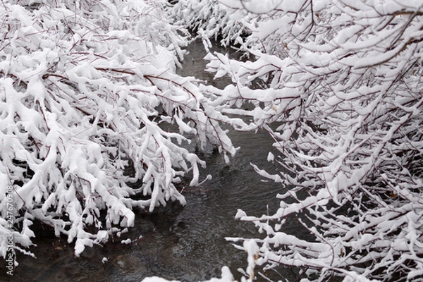 Obraz river with snow on the banks