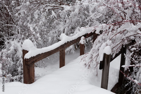Obraz bridge with snow and trees