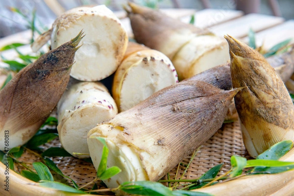 Obraz 朝掘りの筍