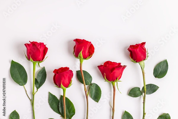 Obraz Red Roses Flatlay 1.0