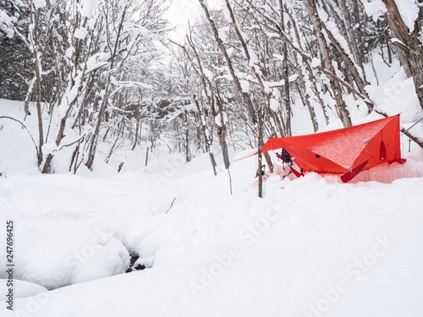 Fototapeta 冬のハンモックキャンプ