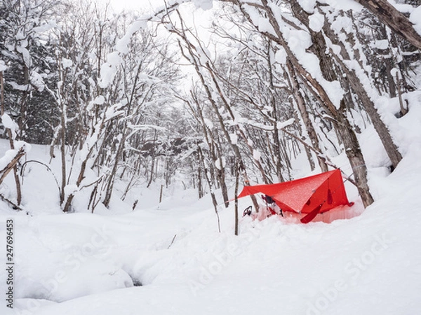 Fototapeta 冬のハンモックキャンプ