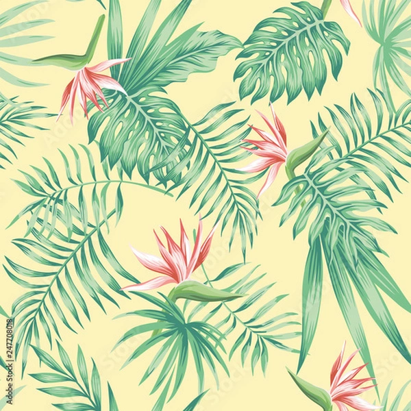 Obraz flowers tropical leaves beach background pattern