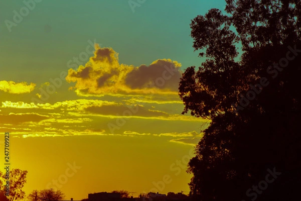 Fototapeta yellow sky