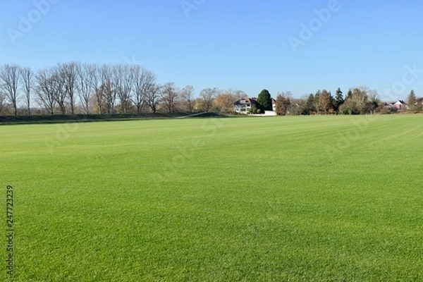 Fototapeta golf course on a sunny day