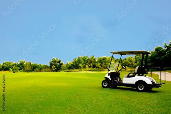 Fototapeta Golf cart car in fairway of golf course with fresh green grass field and cloud blue sky and tree