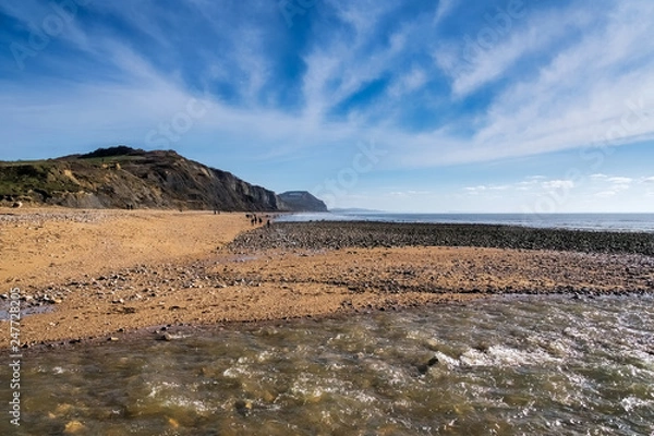 Fototapeta OLYMPUS DIGITAL CAMERA