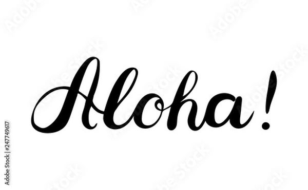 Obraz Aloha text. Brush calligraphy. Vector isolated illustration