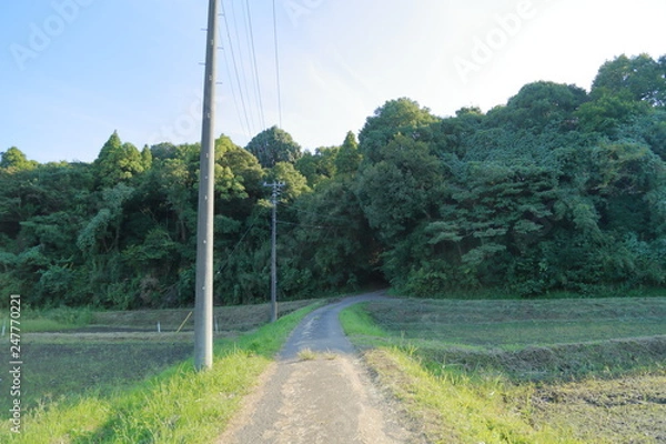 Fototapeta 轍の残る田舎道