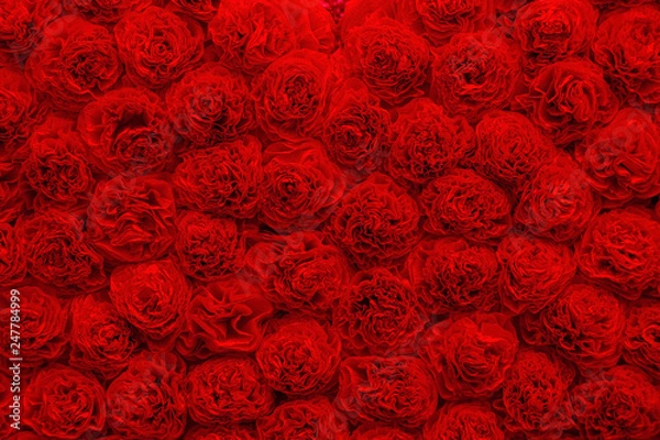 Fototapeta Background of bright red paper flowers