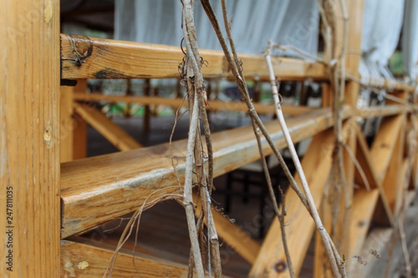 Fototapeta interiors