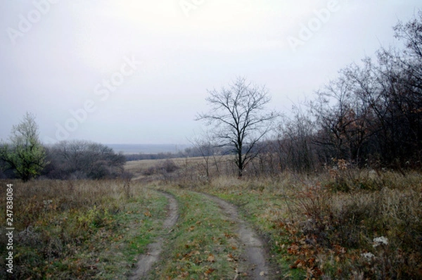 Obraz грунтовка