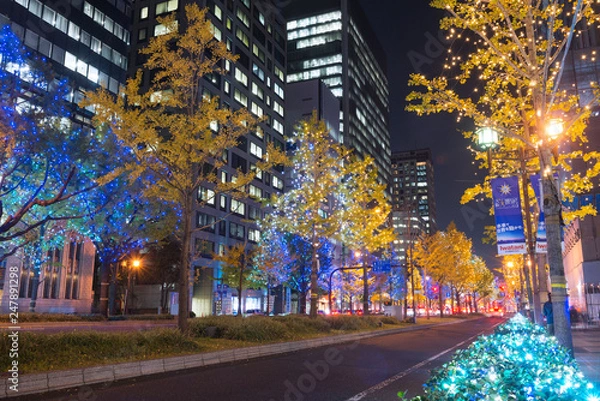 Fototapeta 御堂筋のイルミネーション