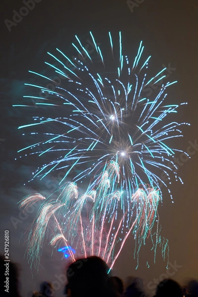 Obraz Bonfire night fireworks