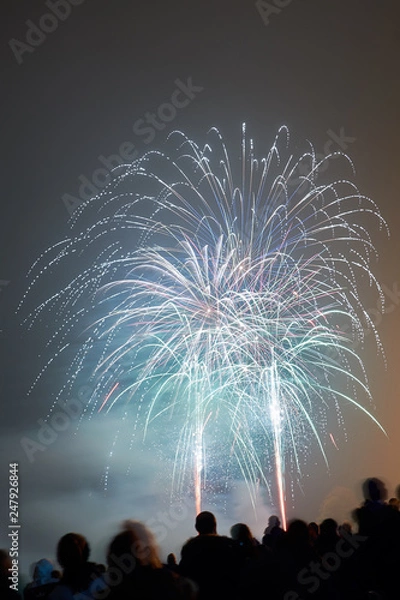 Obraz Bonfire night fireworks