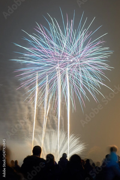 Obraz Bonfire night fireworks